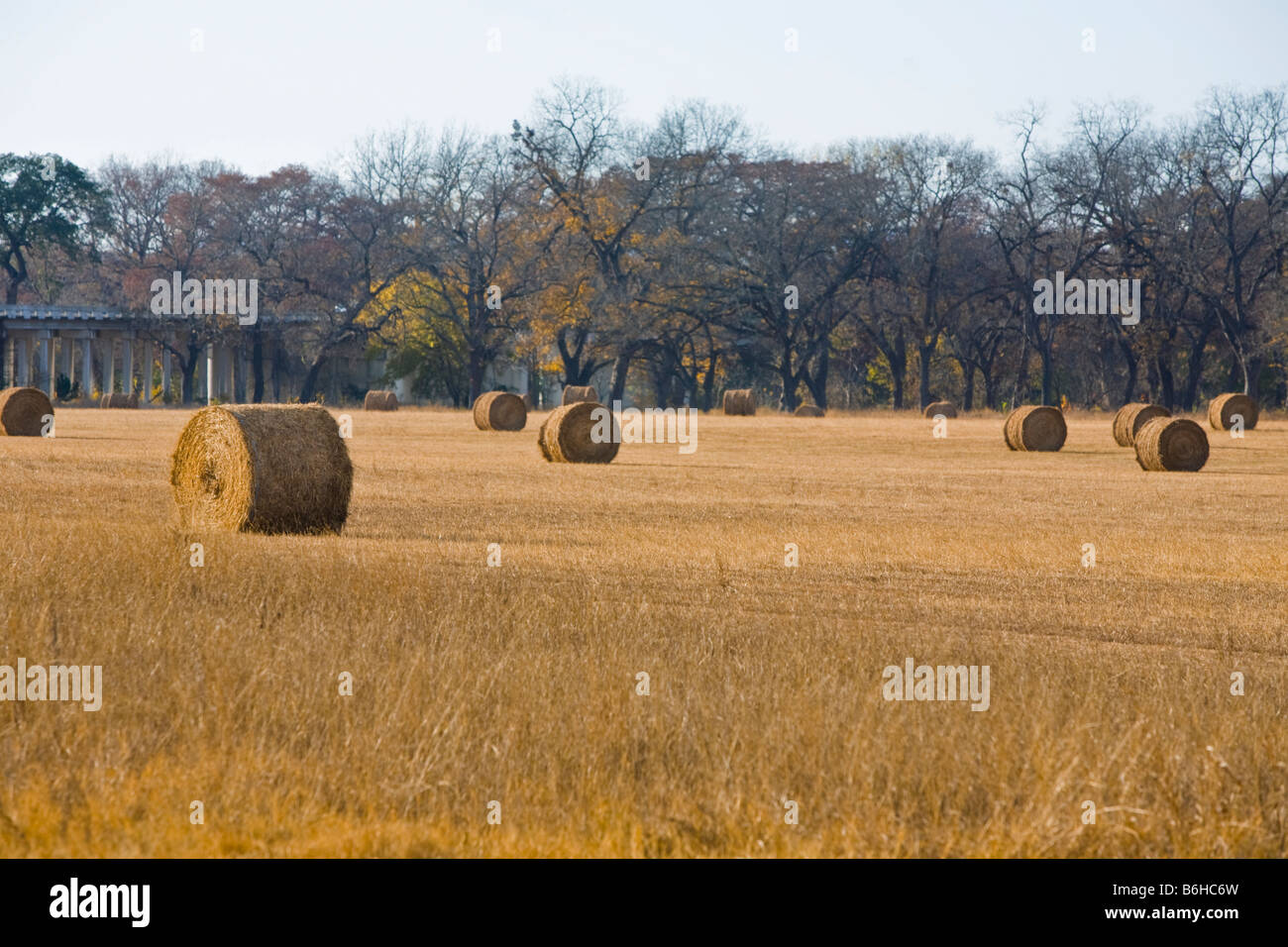 Hay bales on a fall day in the Texas Hill Country Stock Photo