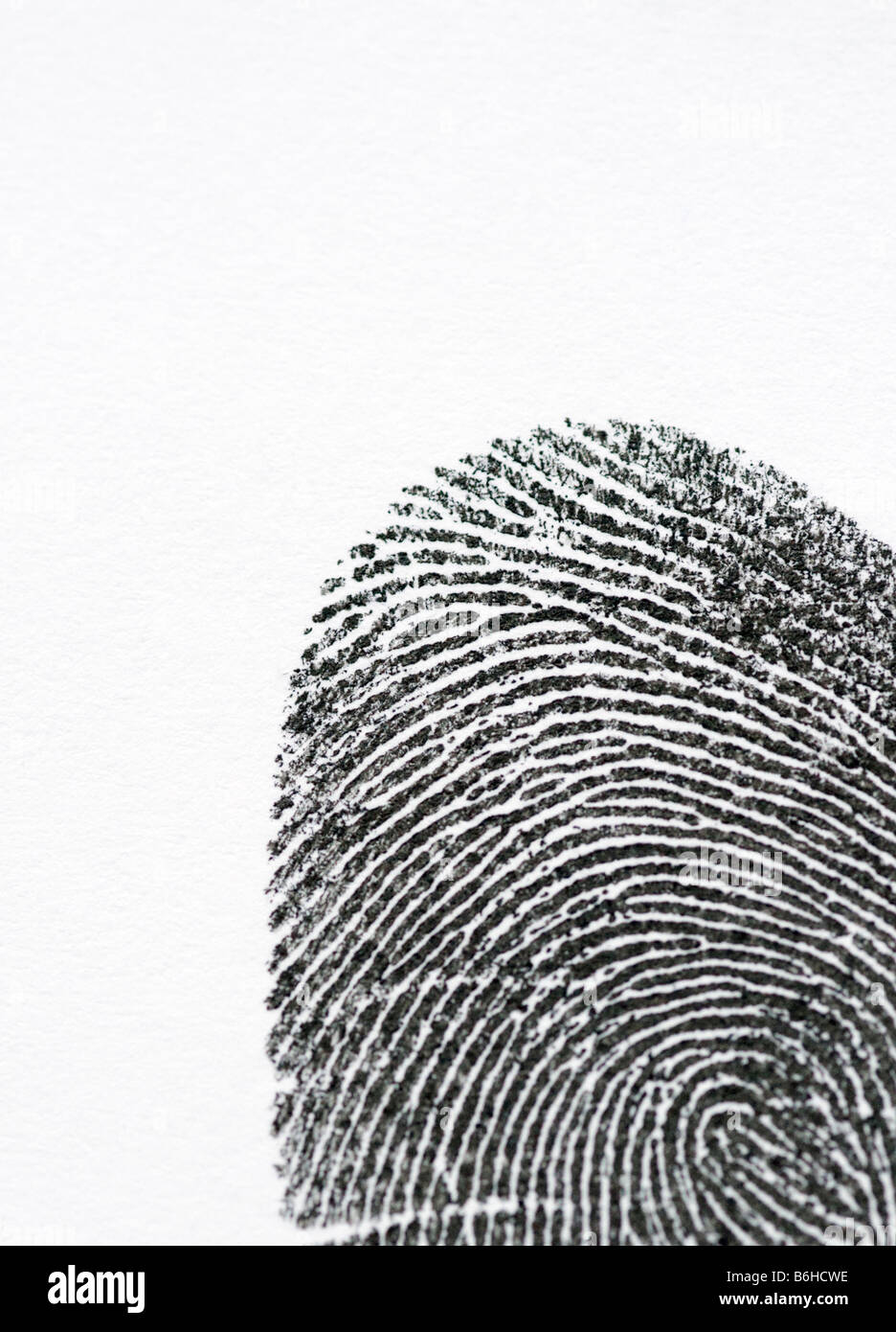 Fingerprint with a white background Stock Photo