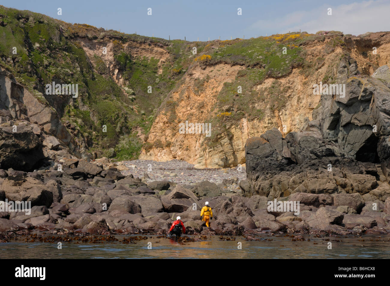Exploring inaccessible bay for otter spraint St Brides Bay Pembrokeshire Wales UK Europe Stock Photo