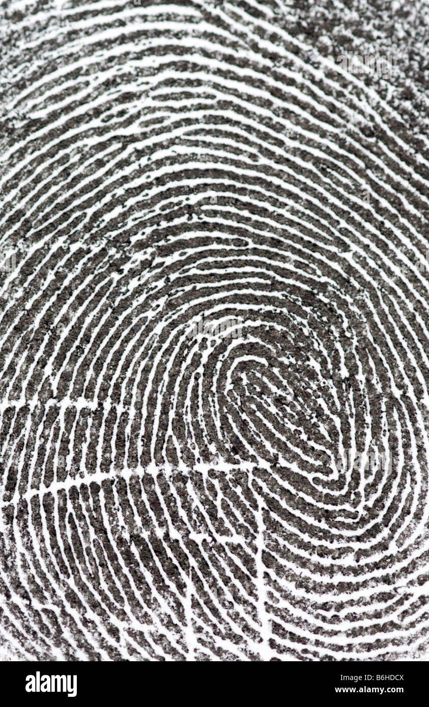 Fingerprint close up Stock Photo