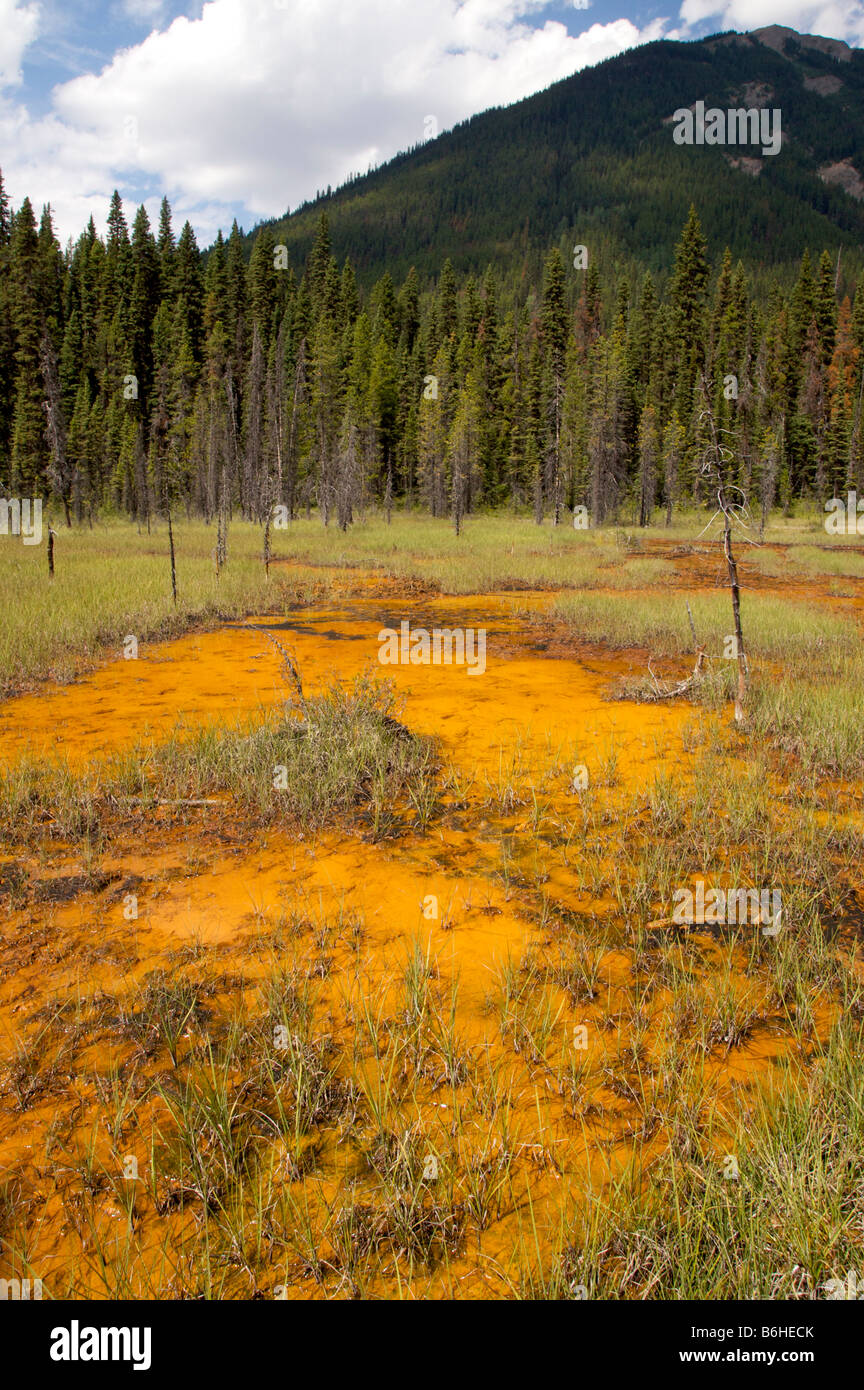 Iron Paint Pots in Kootenay National Park Stock Photo Alamy