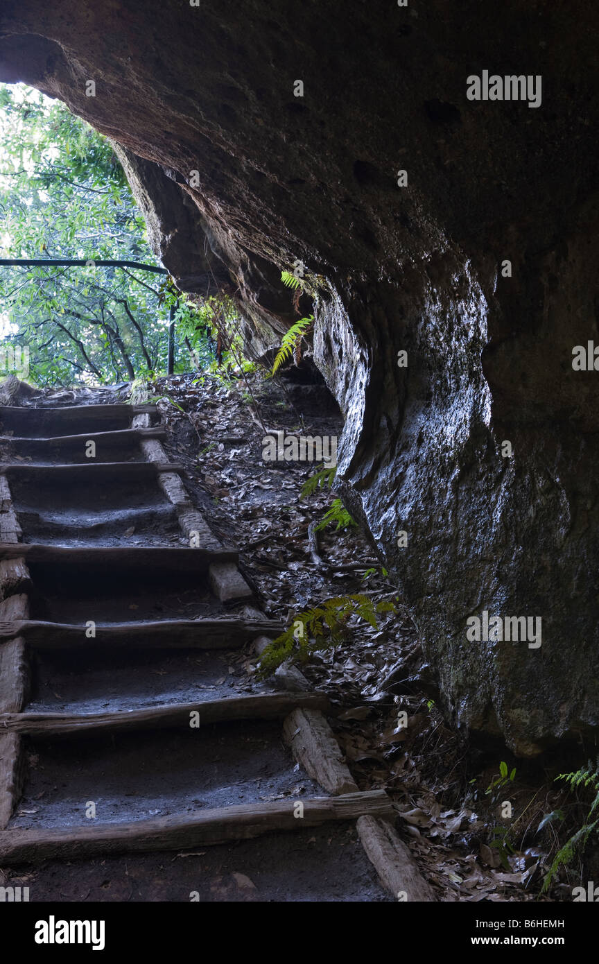 Worn steps, under a sandstone overhang on a mountain trail, Blue Mountains, Australia Stock Photo