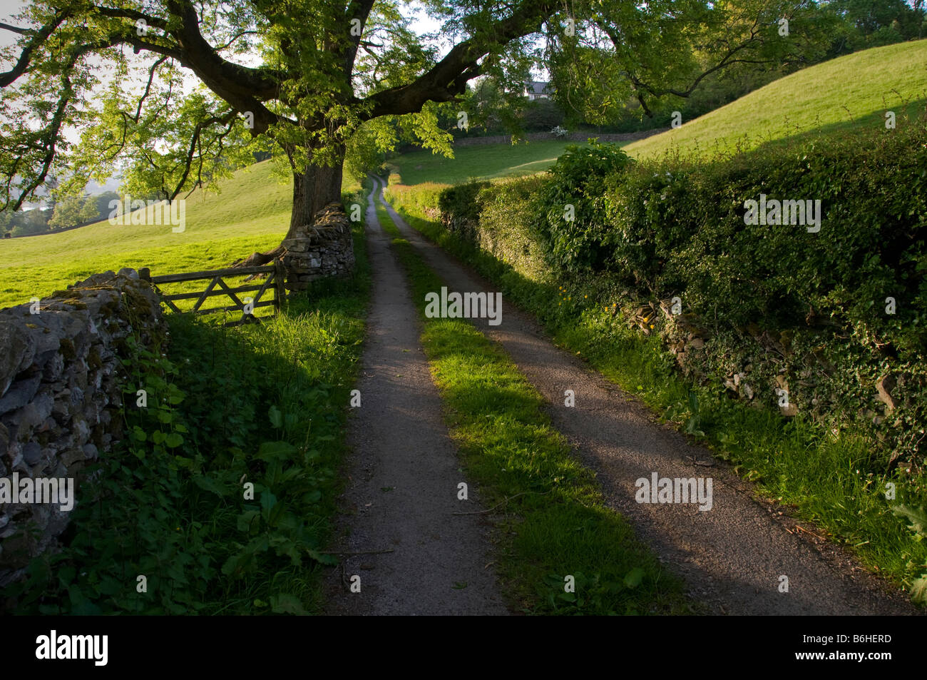 Footpath in Near Sawrey in the English Lake District. Stock Photo