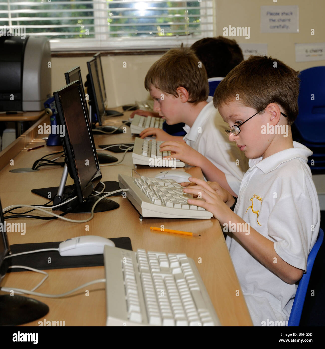 Primary school pupils using computers in classroom Stock Photo Alamy