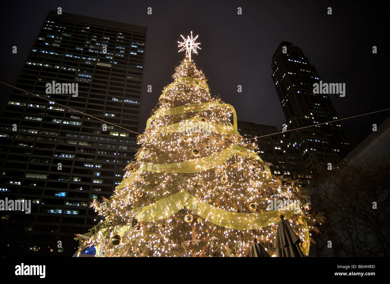 Nighttime Photo of Christmas Tree in Bryant Park New York with