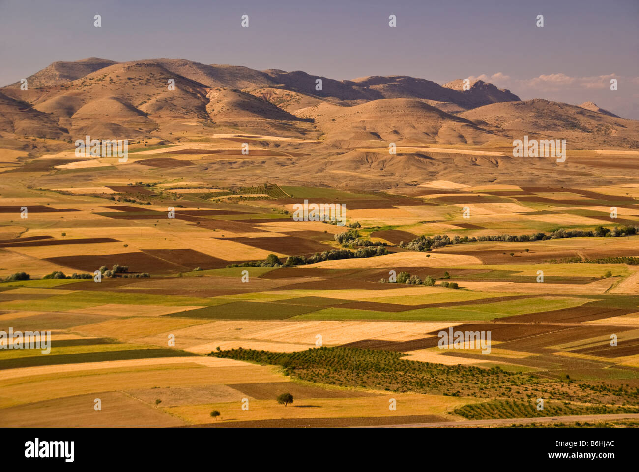 Southeastern Turkey, agricultural landscape in Batman province, Upper Mesopotamia Stock Photo