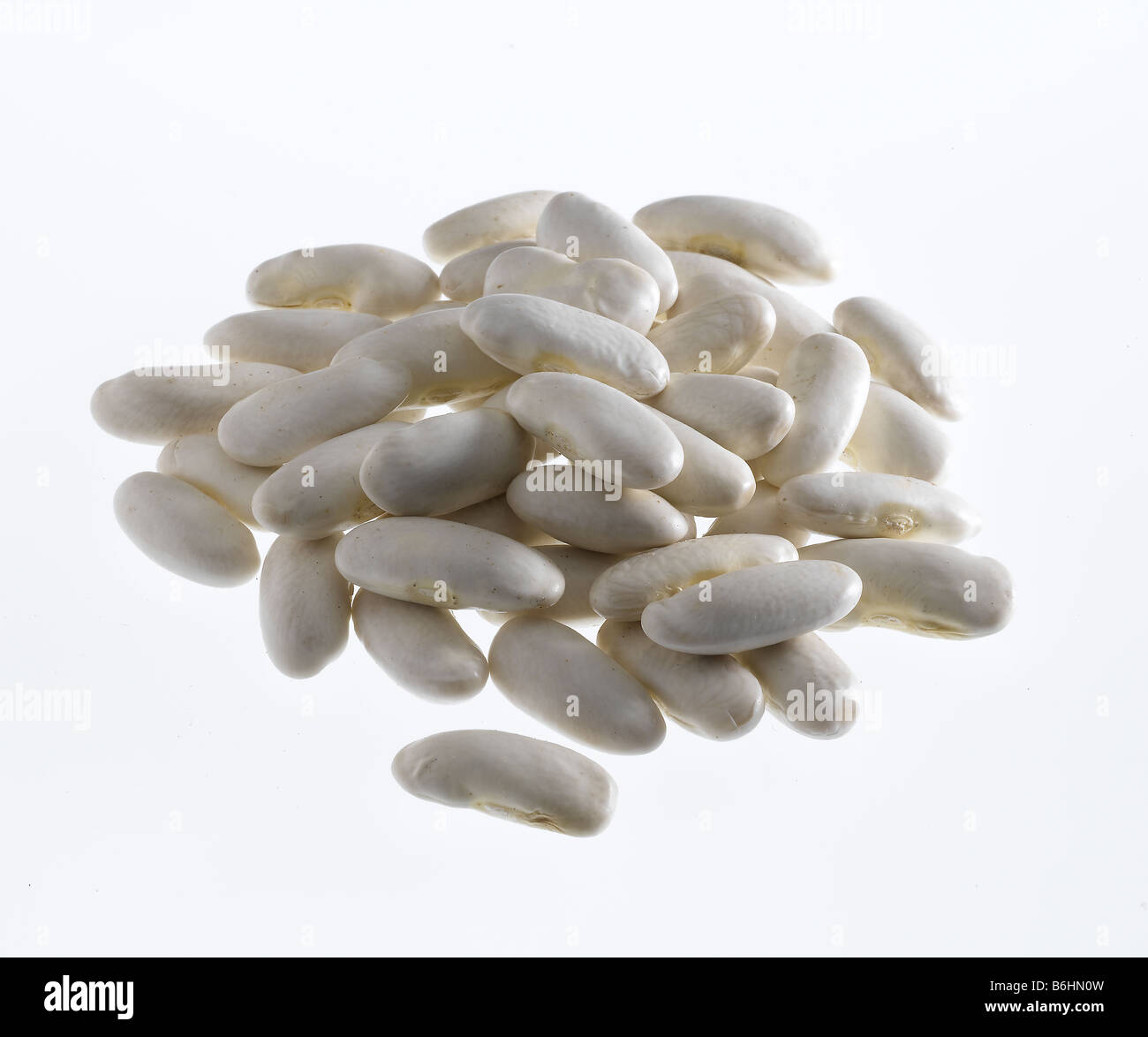 Dried white beans Stock Photo Alamy