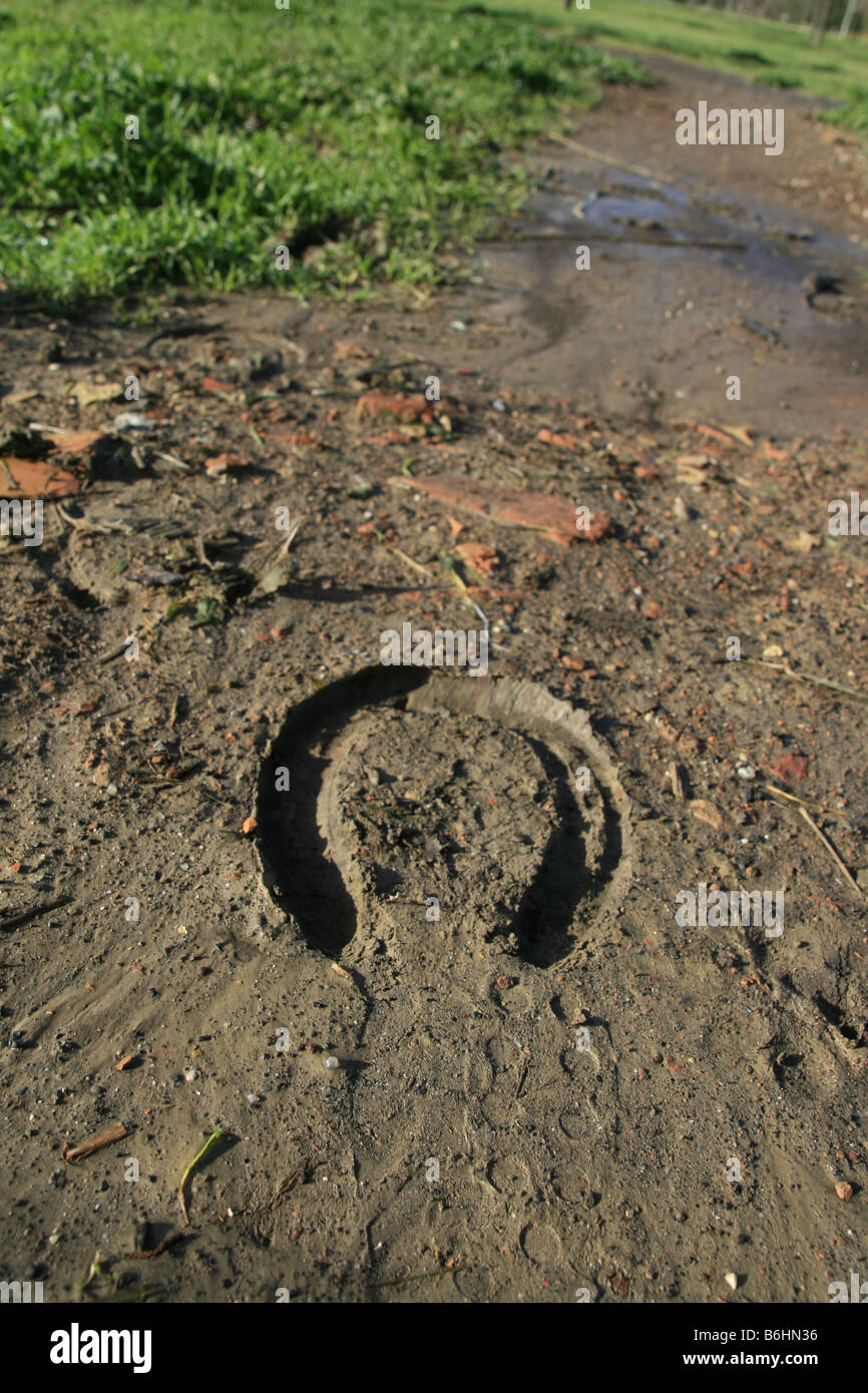 one horse shoe footprint in mud on track in countryside Stock Photo Alamy