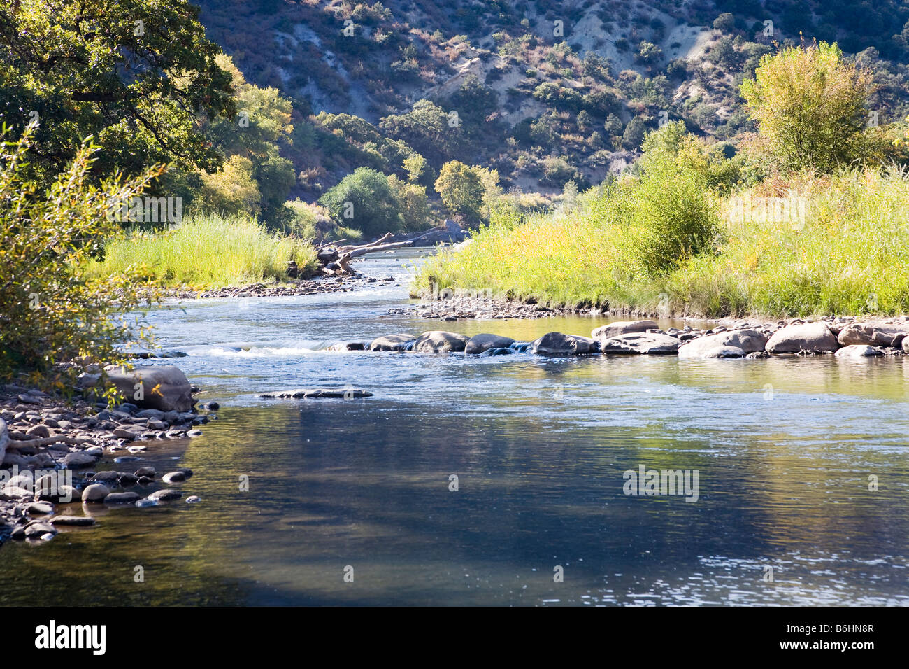 Animas River near Aztec in New Mexico, USA Stock Photo