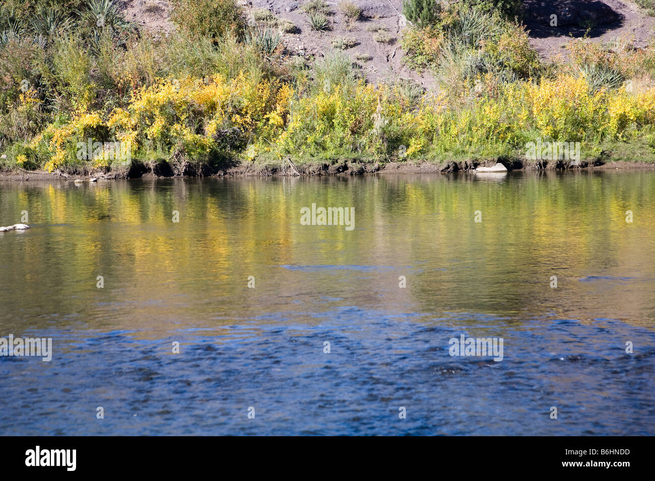 Animas River near Aztec in New Mexico, USA Stock Photo