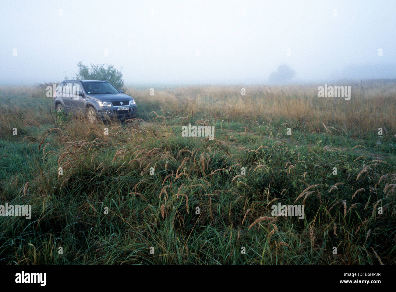 Poland village Suzuki Grand Vitara off road in morning fog mist Stock Photo  - Alamy