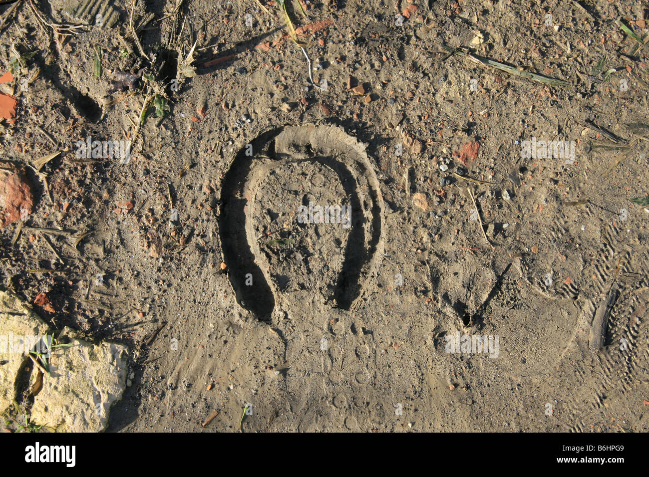 one horse shoe footprint in mud on track in countryside Stock Photo Alamy