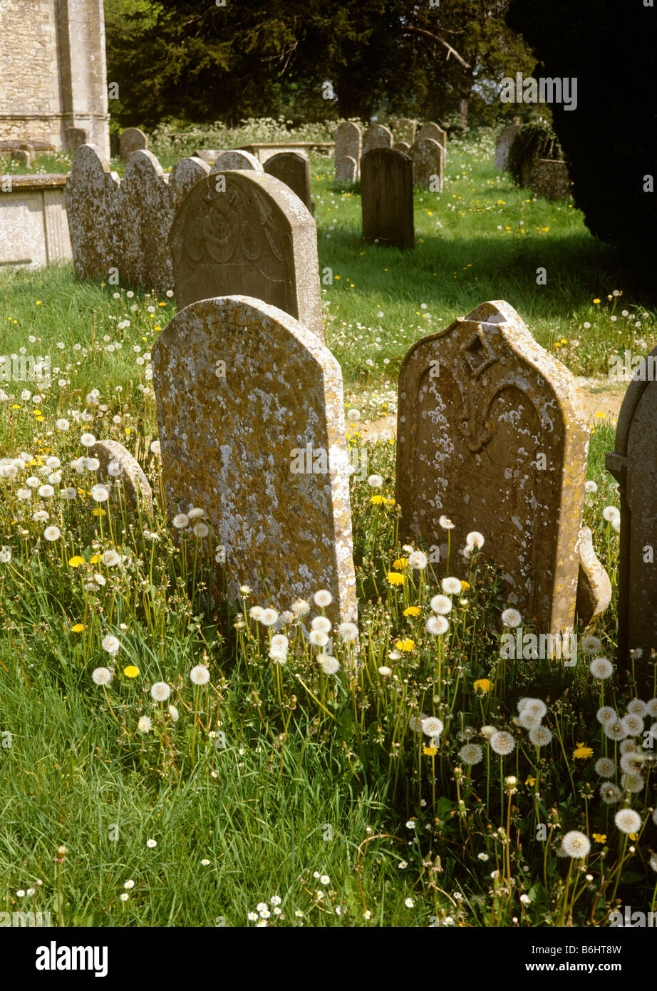 UK England Oxfordshire Faringdon lichen covered headstones in All Saints Churchyard Stock Photo