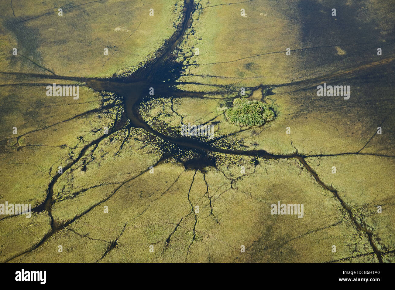 Aerial view of animal pathways and island in the Okavango Delta Paths mainly created by hippopotamus and elephants Stock Photo