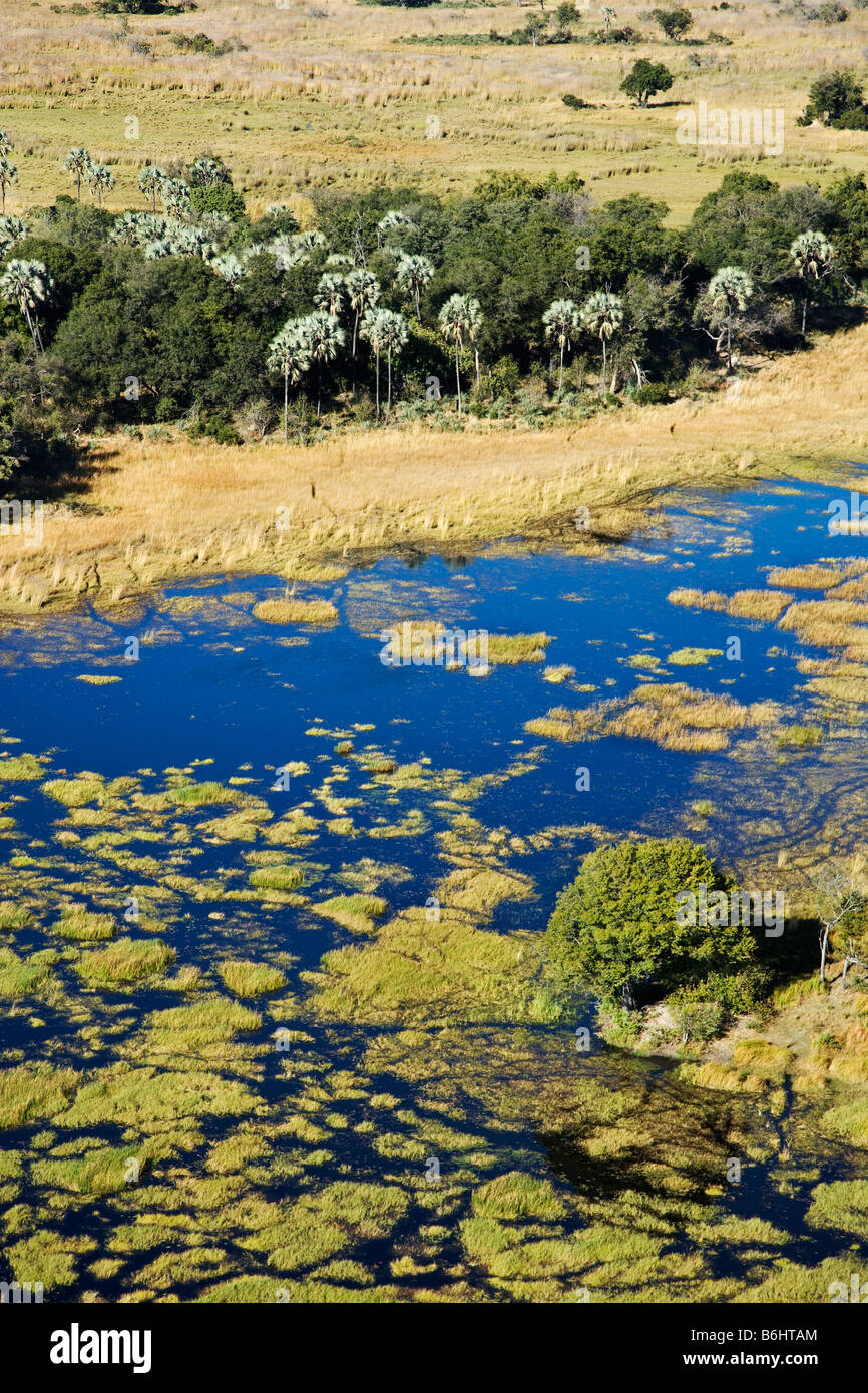 Aerial view of islands and waterways Central Okovango wilderness area in the Delta Stock Photo
