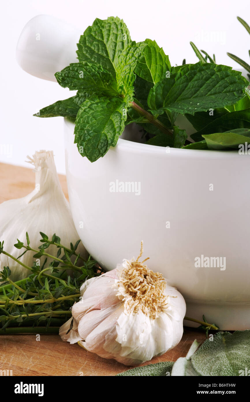 Assortment of herbs with kitchen mortar and pestle Studio shot against white background Stock Photo