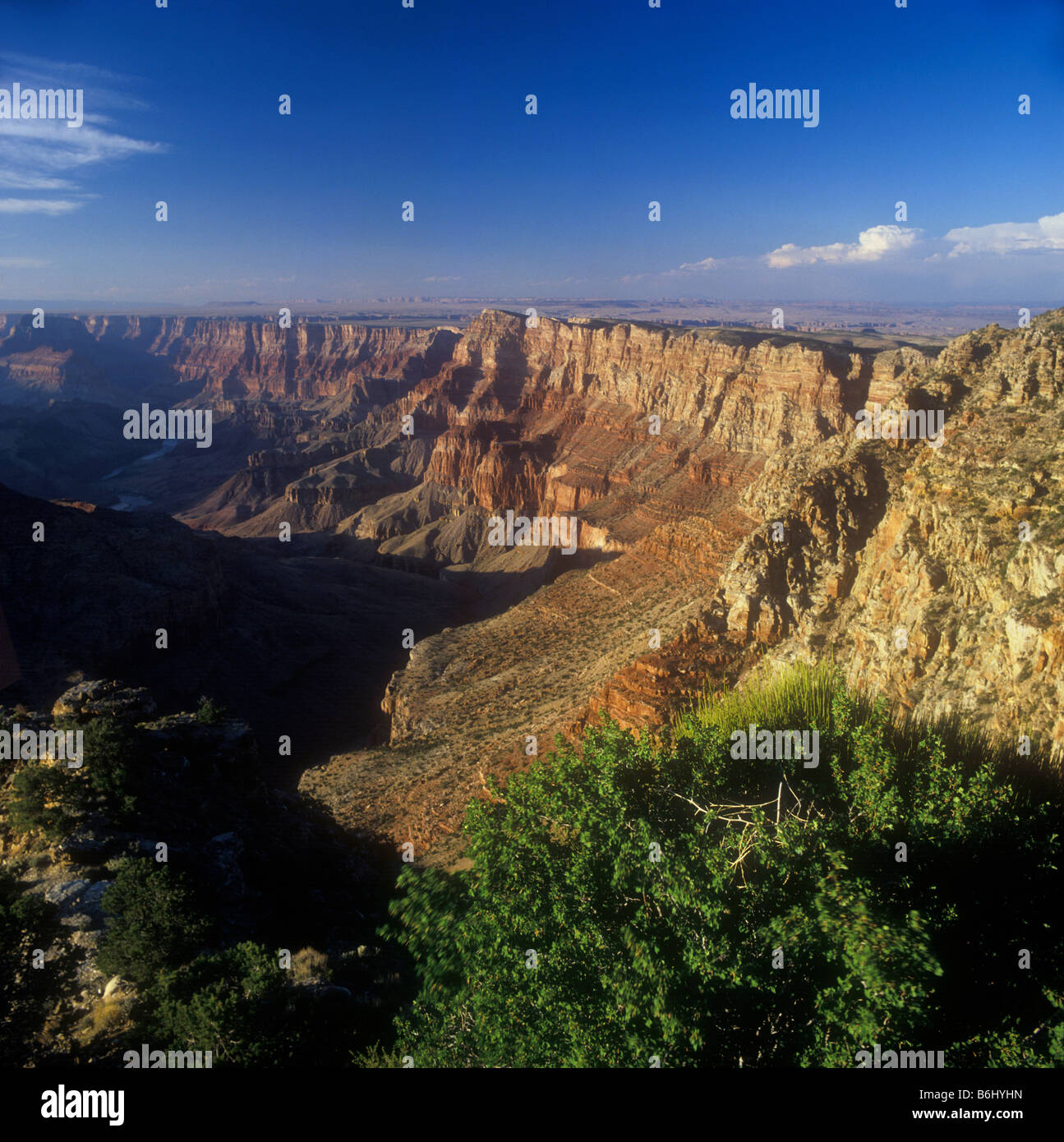 Grand Canyon National Park - View of the dramatic steep sided gorge carved by the Colorado River Stock Photo
