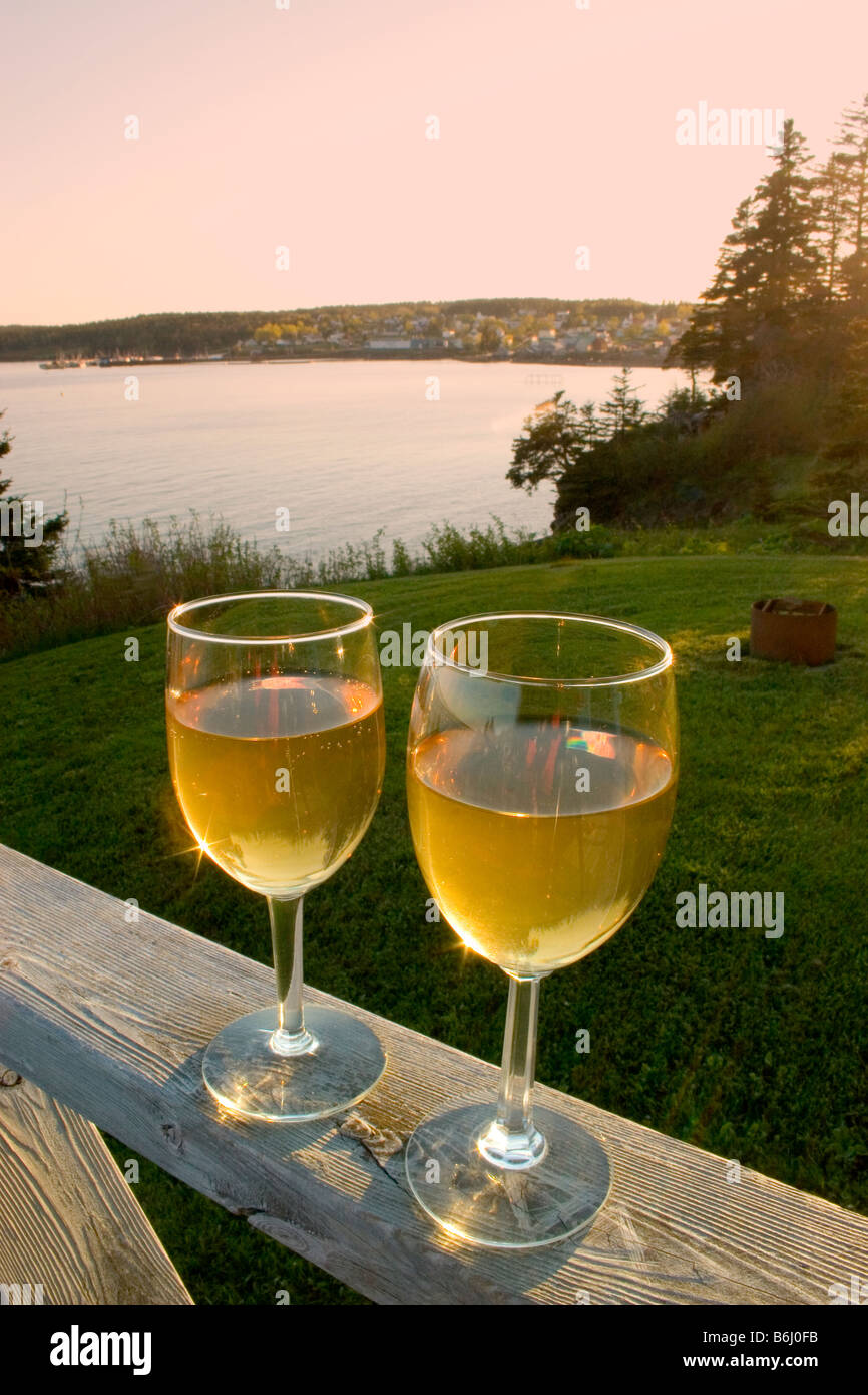 Two champagne flutes against sunset - Stock Image - F011/2837 - Science  Photo Library