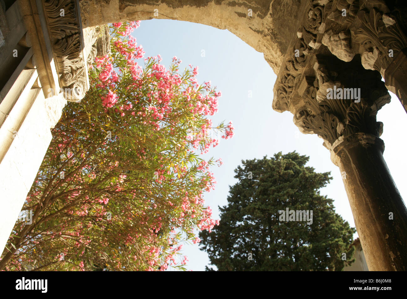 Cloister at the church of St Trophime in Arles, France. Stock Photo