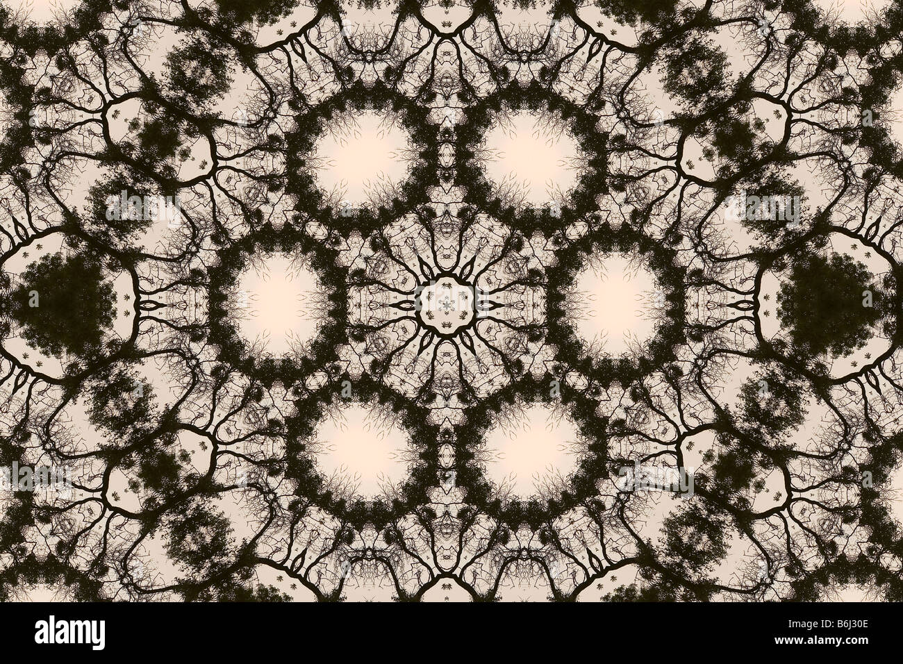 Kaleidoscopic image of tree branches Stock Photo