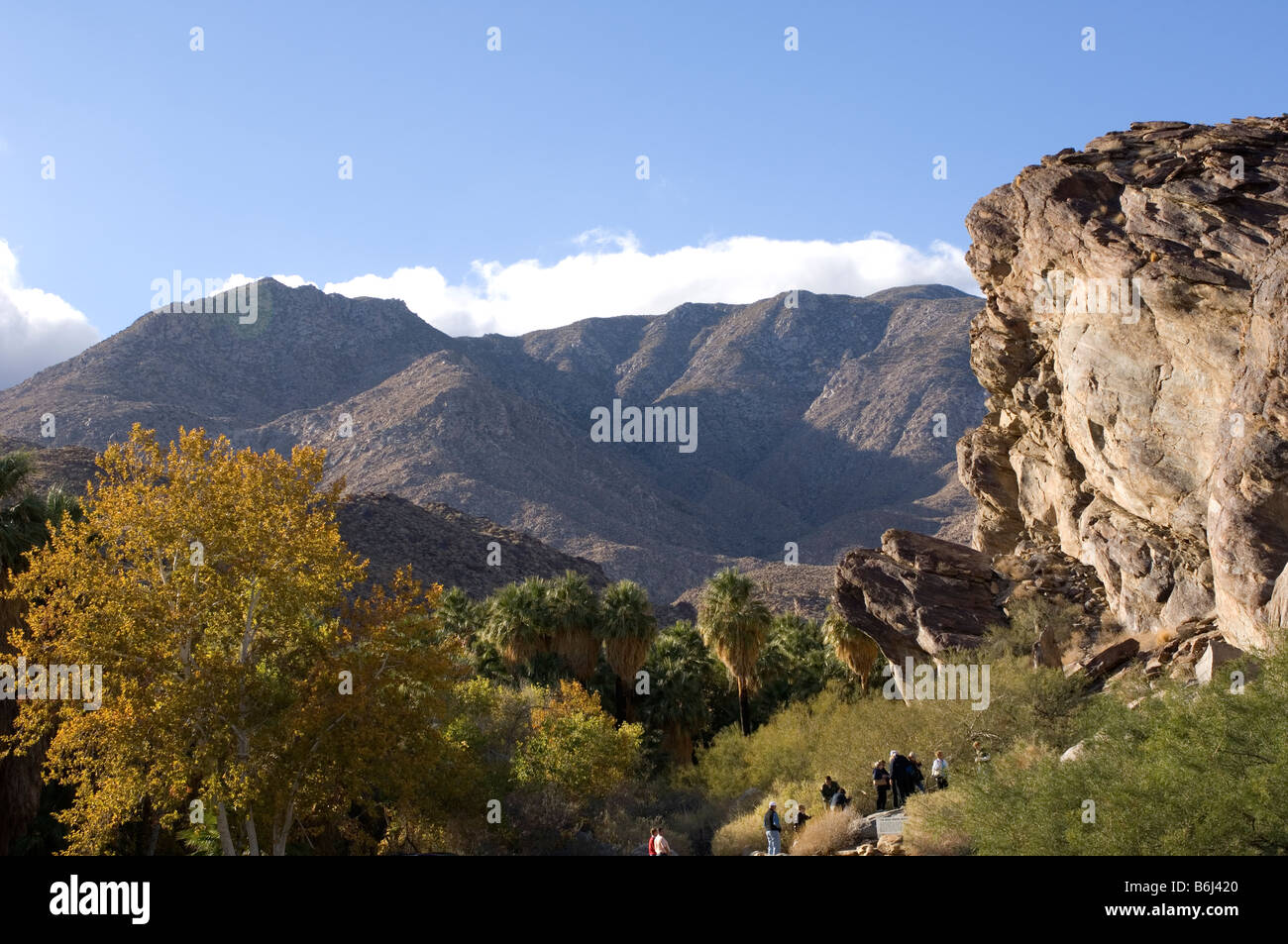 Indian Reservation land, Palm Springs desert Andreas Canyon California