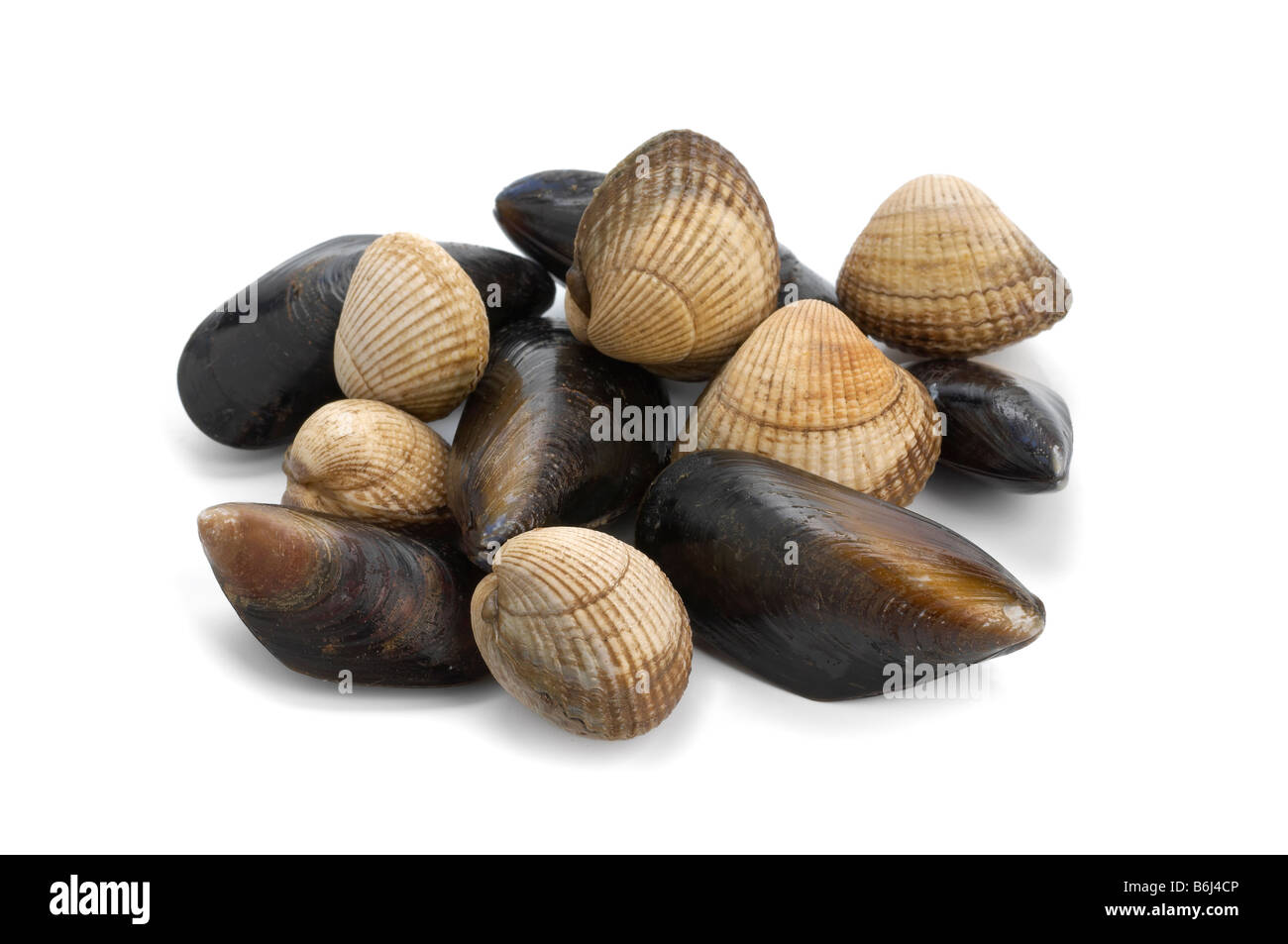Cockles and mussels hires stock photography and images Alamy