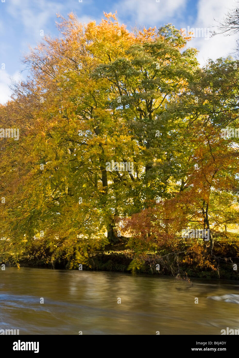 Woodburn hires stock photography and images Alamy