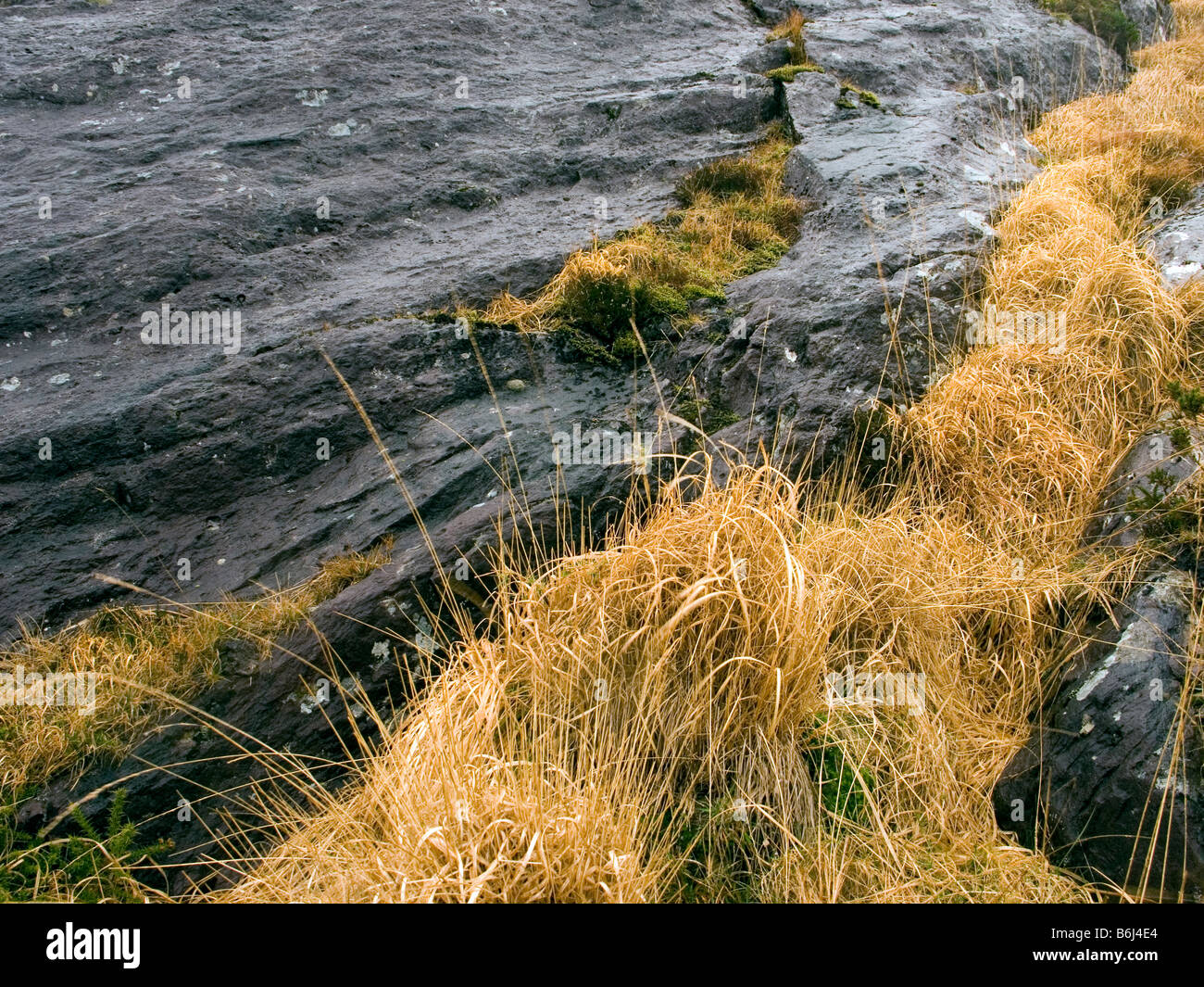 Old red sandstone ireland hires stock photography and images Alamy