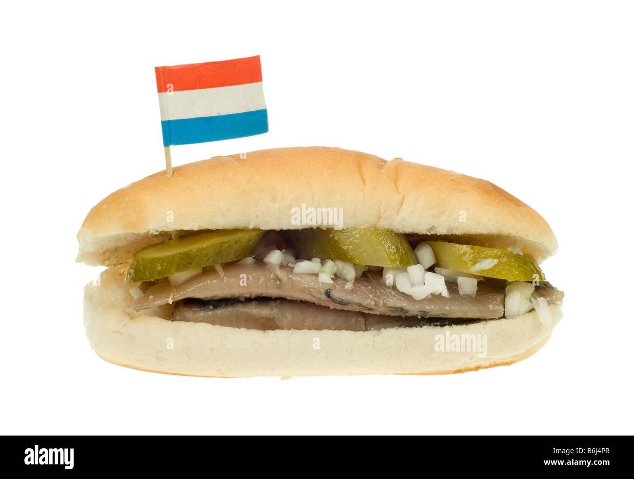 typical dutch herring sandwich isolated on a white background Stock