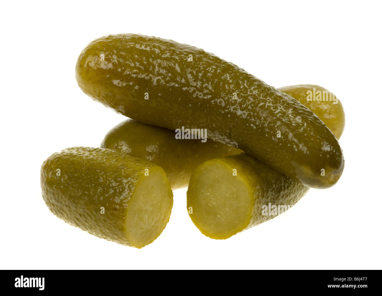 gherkin dill pickle isolated on a white background Stock Photo Alamy
