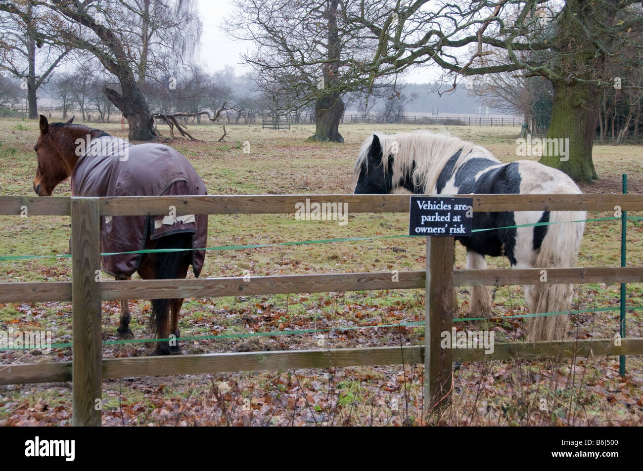 Horse parking at Black Thorpe Barn, Suffolk Stock Photo Alamy