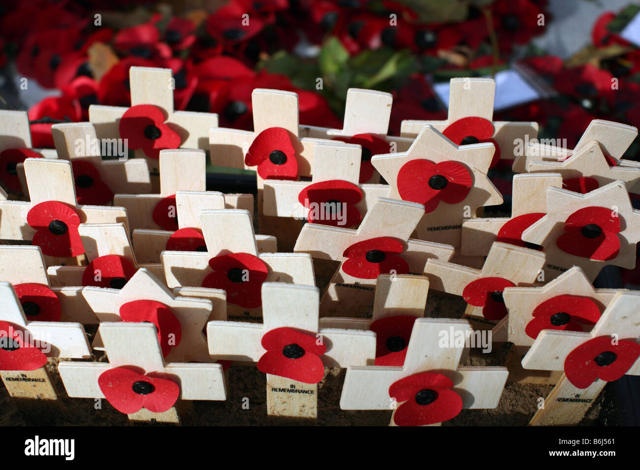 Poppies at London war memorial pictured on 90th anniversary of the end of WWI Stock Photo