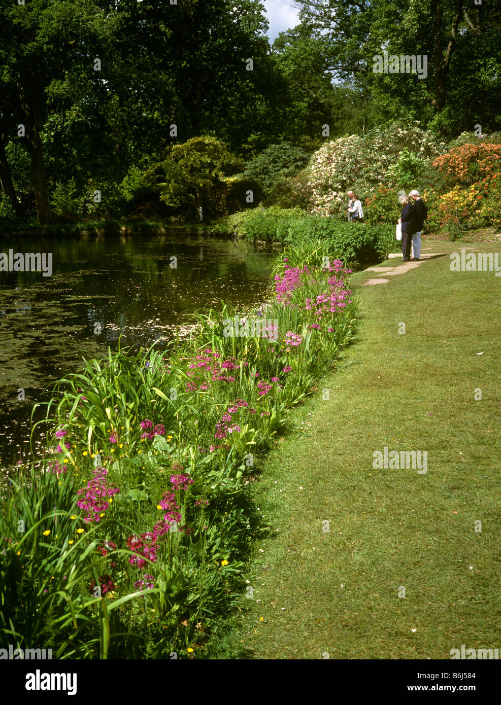 UK England Hampshire Exbury Gardens pond Stock Photo