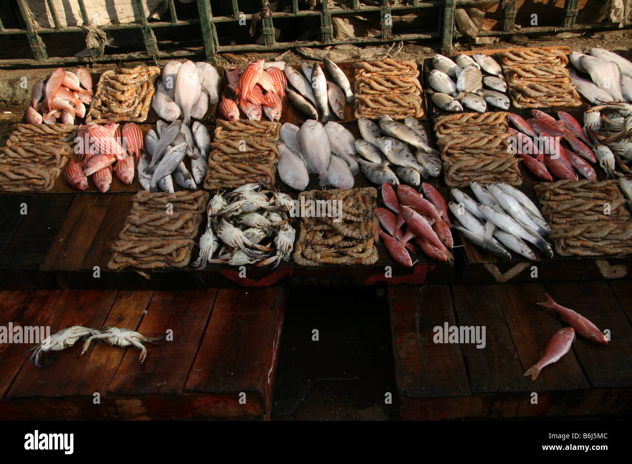 Fish for sale at Anfushi fish market, Alexandria, Egypt Stock Photo Alamy