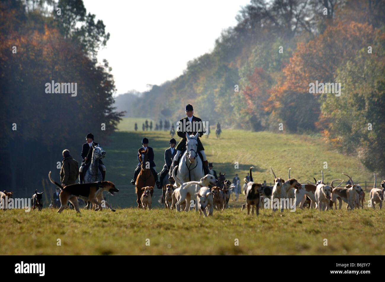 THE BEAUFORT HUNT APPROACH A MEETING AT WORCESTER LODGE NEAR THEIR BADMINTON KENNELS GLOUCESTERSHIRE UK Stock Photo