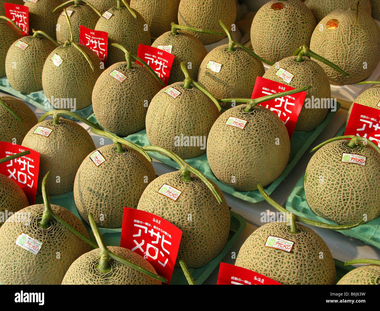 Japanese melons for sale, Hokkaido, Japan Stock Photo Alamy