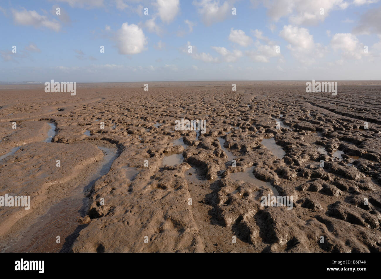 Goldcliff Pill mudflat Goldcliff Gwent Levels Newport Wales UK Europe Stock Photo