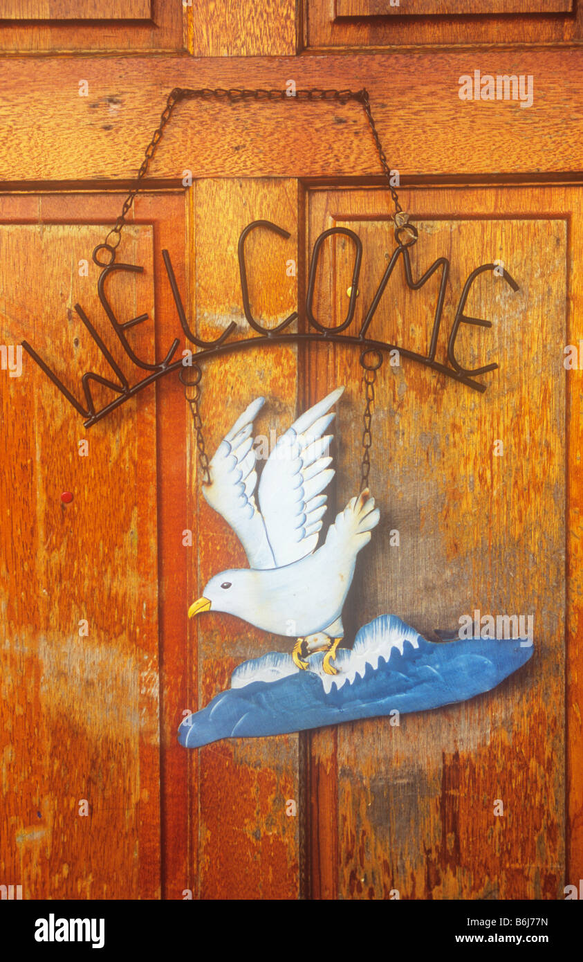 Metal sign hanging by chain on weathered varnished door stating Welcome and with cutout tin image of painted seagull on waves Stock Photo