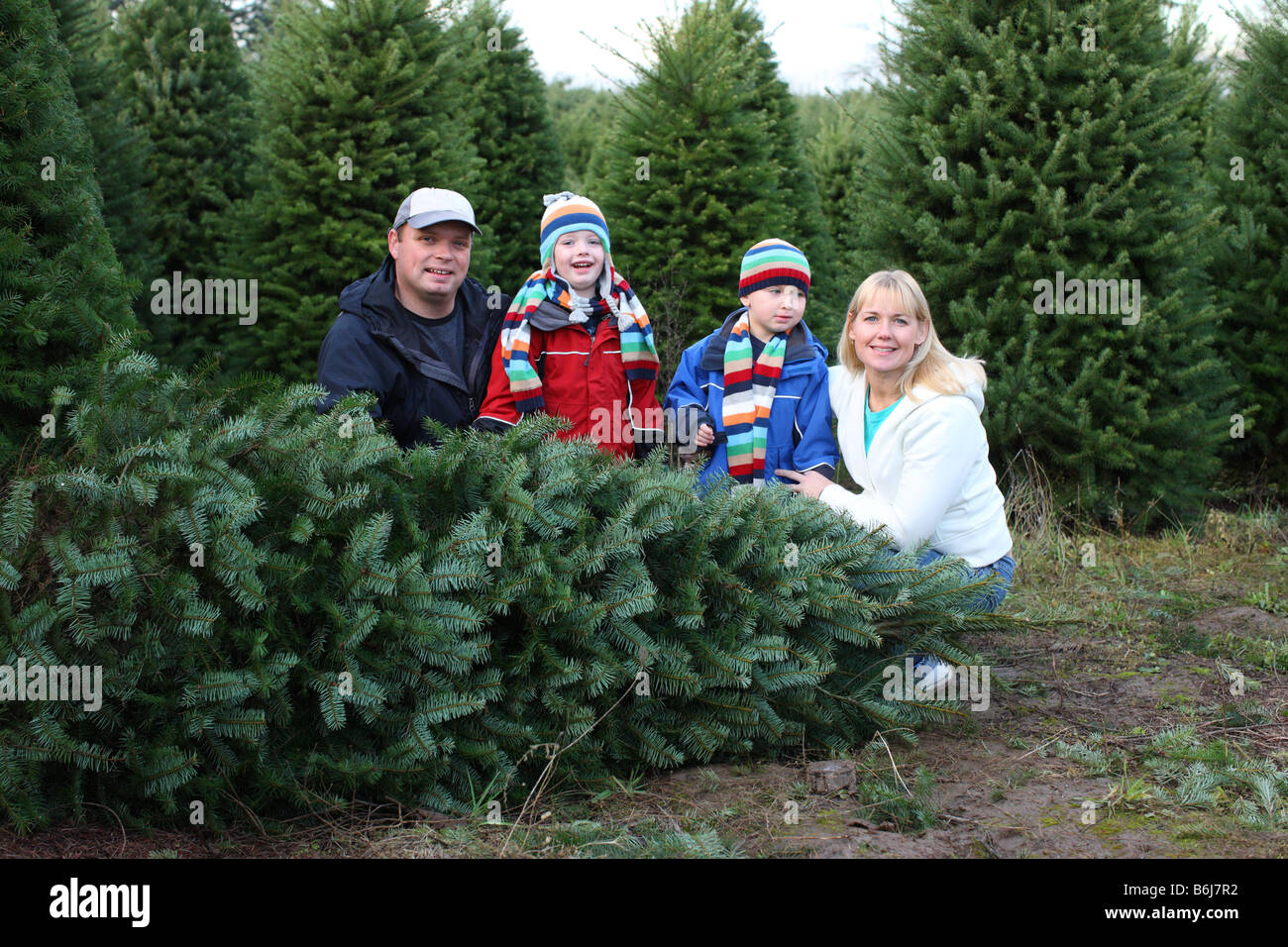 Family at Christmas tree farm by cut down tree Stock Photo