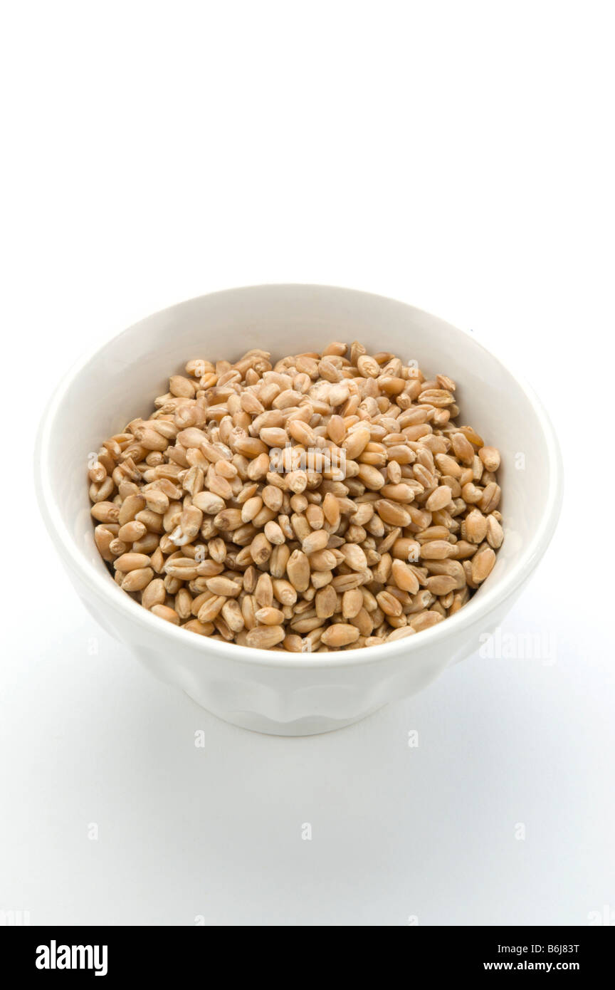 Bowl of hard wheat kernels Stock Photo Alamy