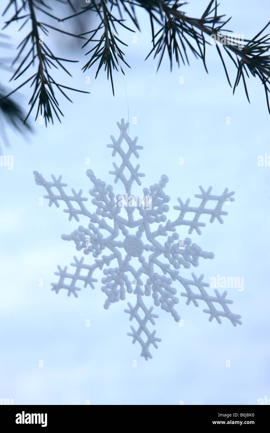 Snowflake ornament hanging from branch Stock Photo