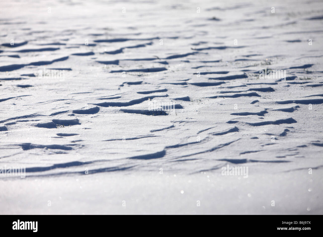 Winter background texture wind blown snow closeup Stock Photo