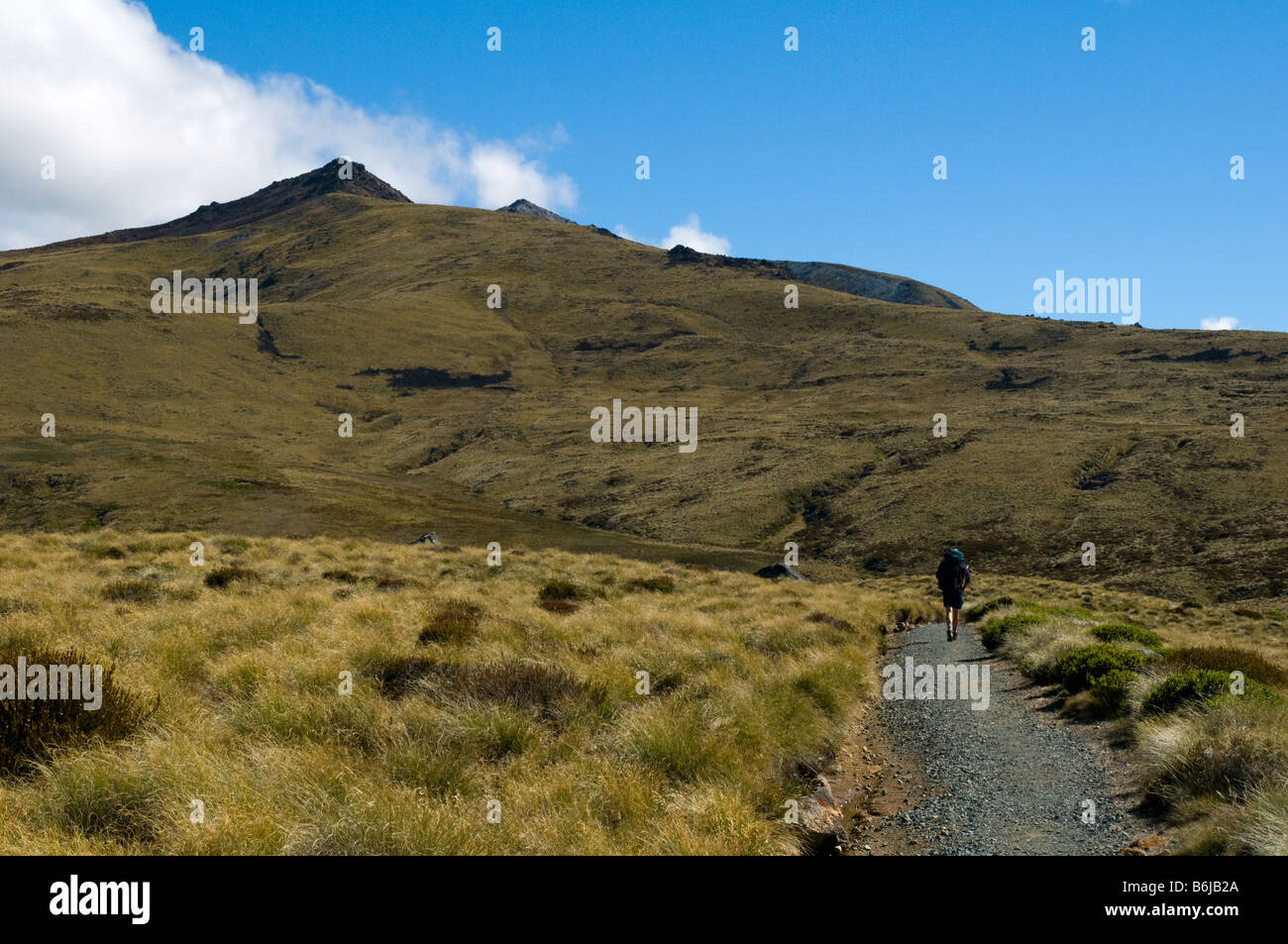 Mount Luxmore from the Kepler Track, South Island, New Zealand Stock Photo