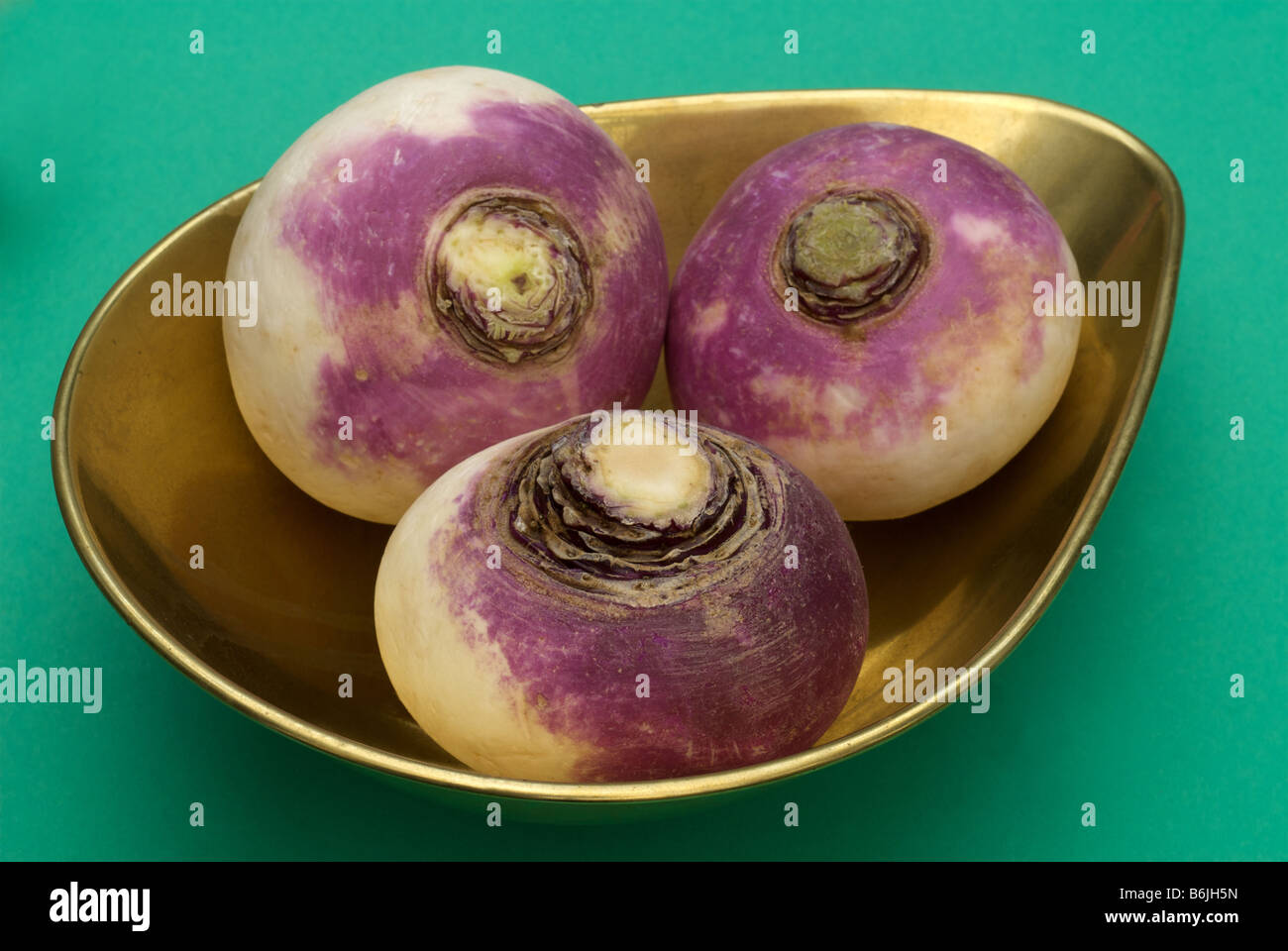 Commercially grown Turnip, Suffolk, UK. Stock Photo