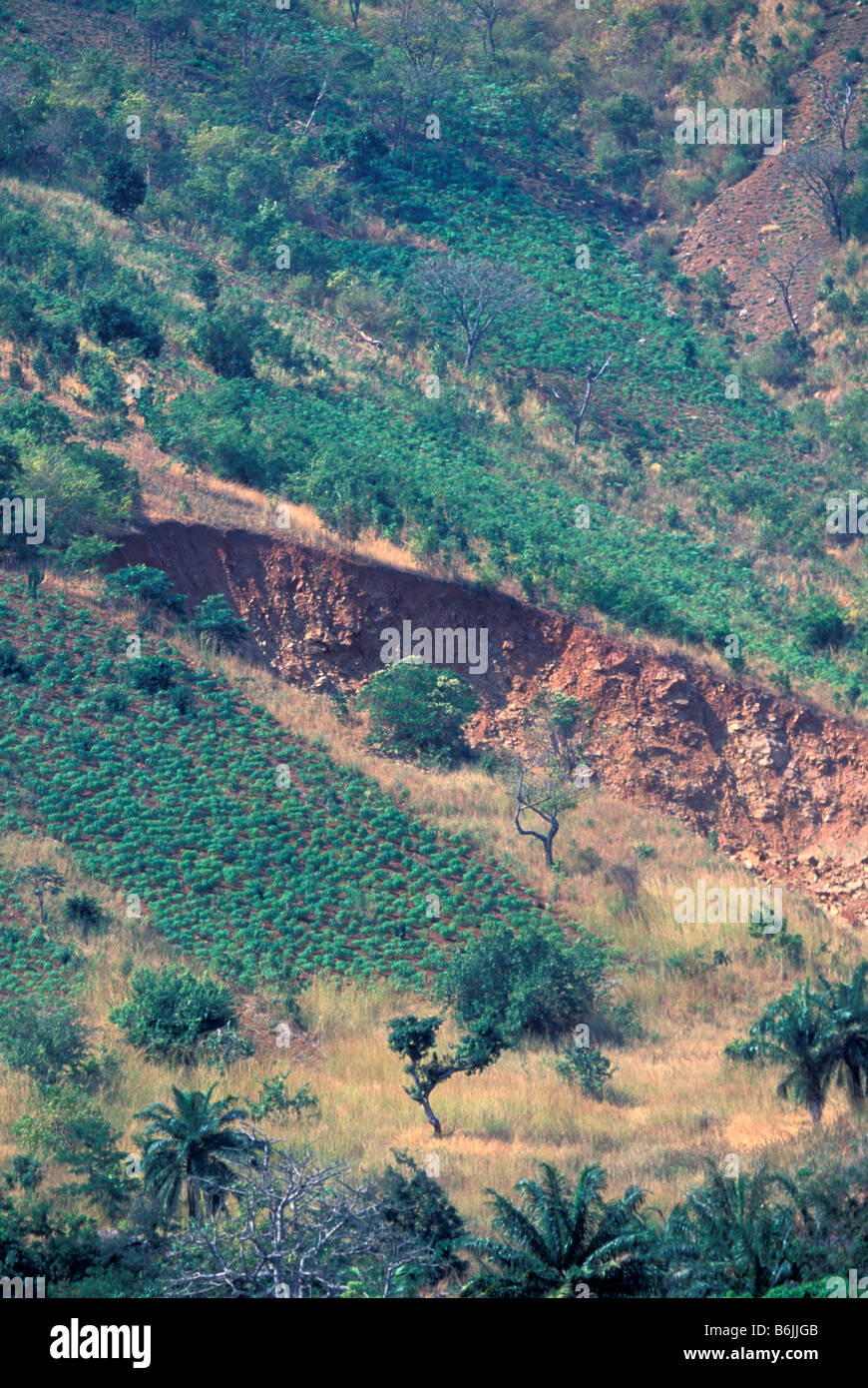 Africa, East Africa, Tanzania Deforestation and erosion landslide Stock