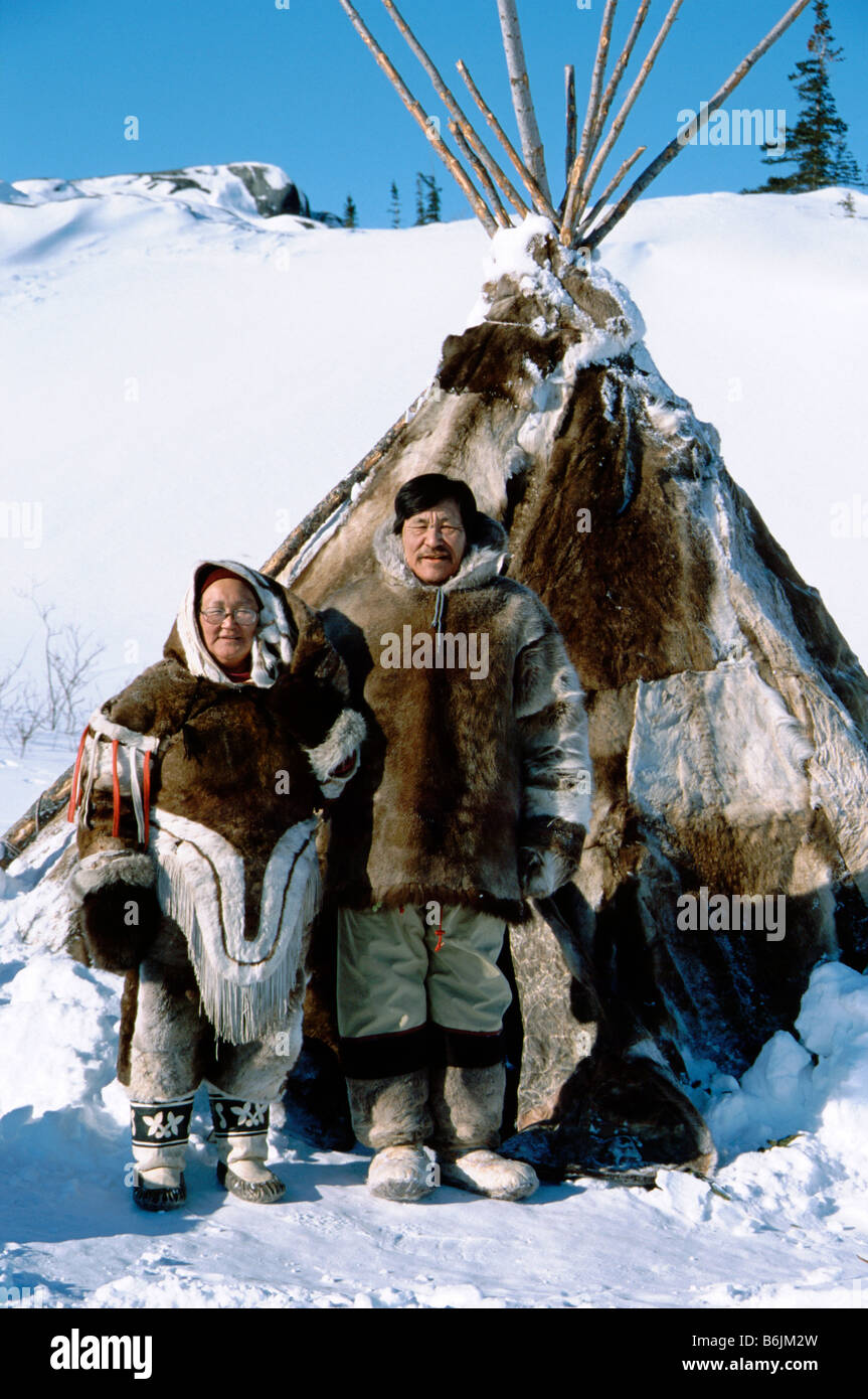 North America, Arctic, Canada, Manitoba, Churchill. Typical caribou