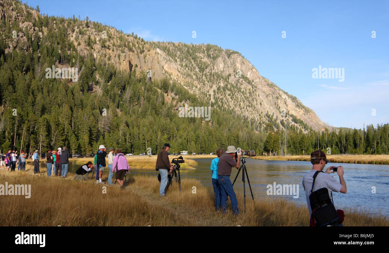 Photographing wildlife hi-res stock photography and images - Alamy