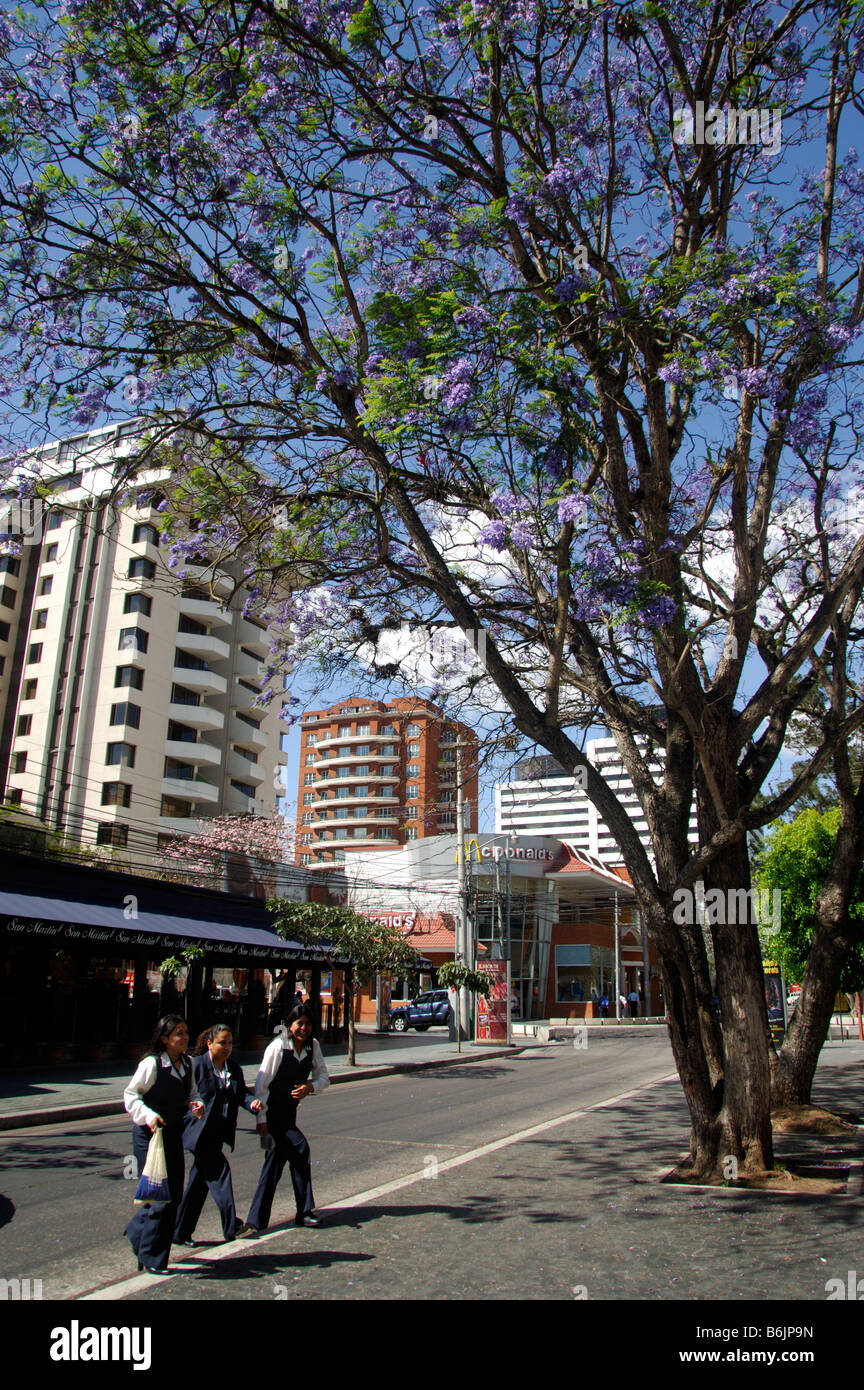 Central America, Guatemala, Guatemala City. The capital city of Guatemala. Downtown Stock Photo