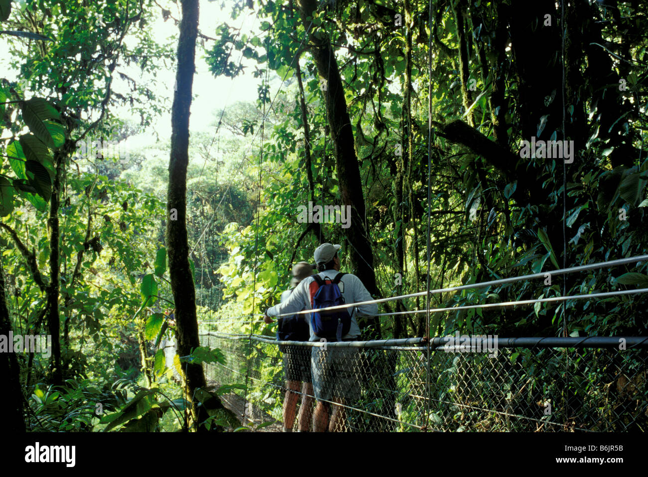 Central America, Costa Rica, Monteverde Cloud Forest. Hikers on