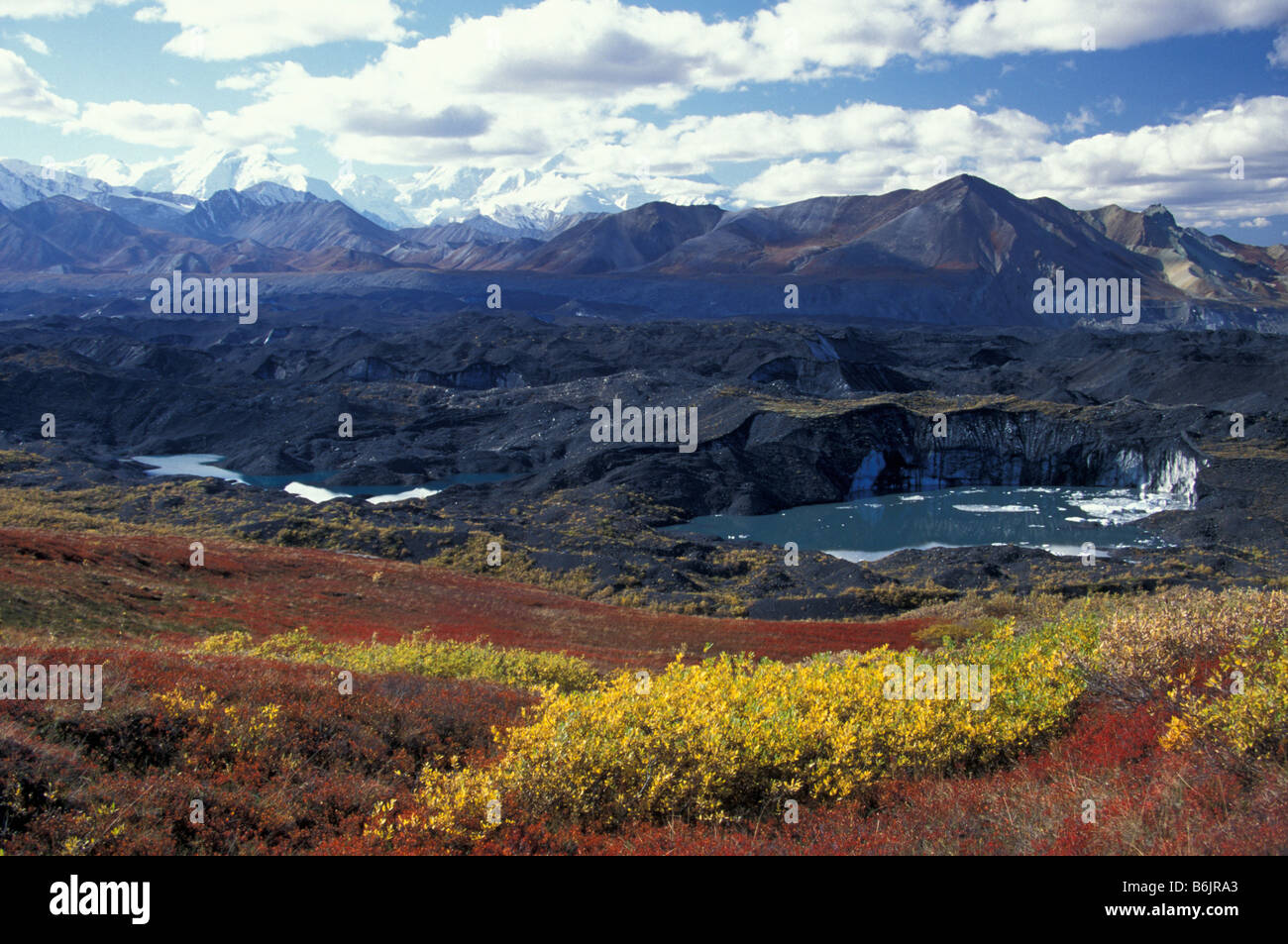 NA, USA, Alaska, Denali NP, Muldrow Glacier and autumn tundra, Alaska